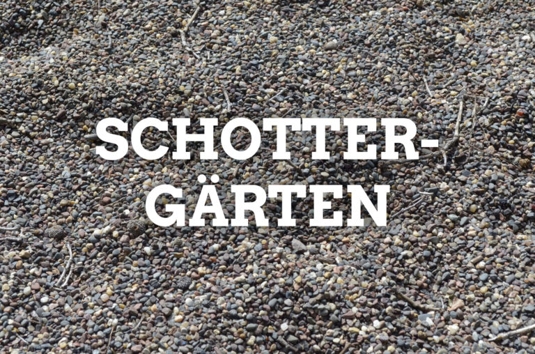 Erstellung einer Freiflächen­gestaltungs­satzung