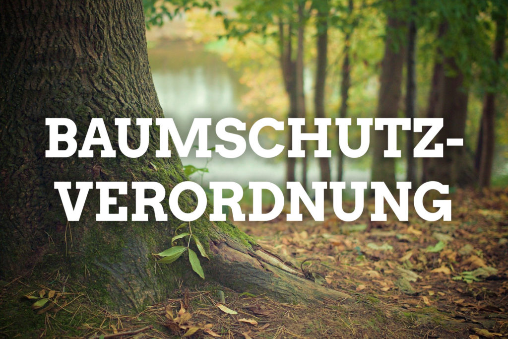 Erstellung einer Baumschutzverordnung | Johannes Weiß - Kreisrat ...