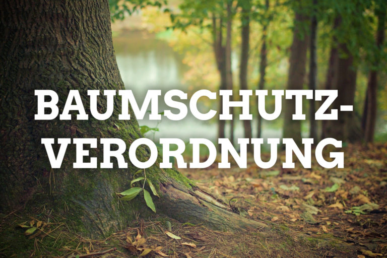 Erstellung einer Baumschutz­verordnung