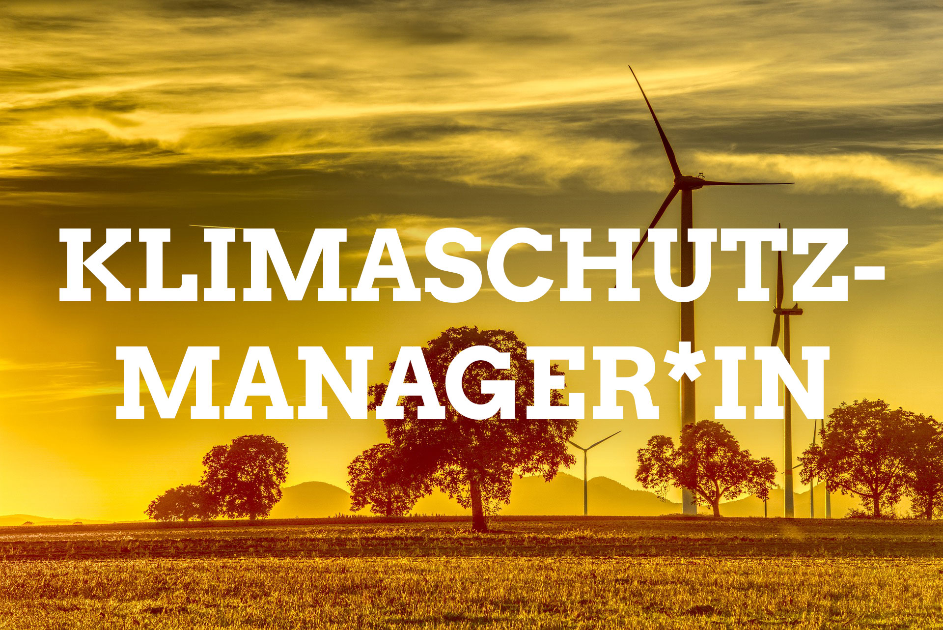 Antrag: Klimaschutzmanager*in für den Landkreis Schweinfurt