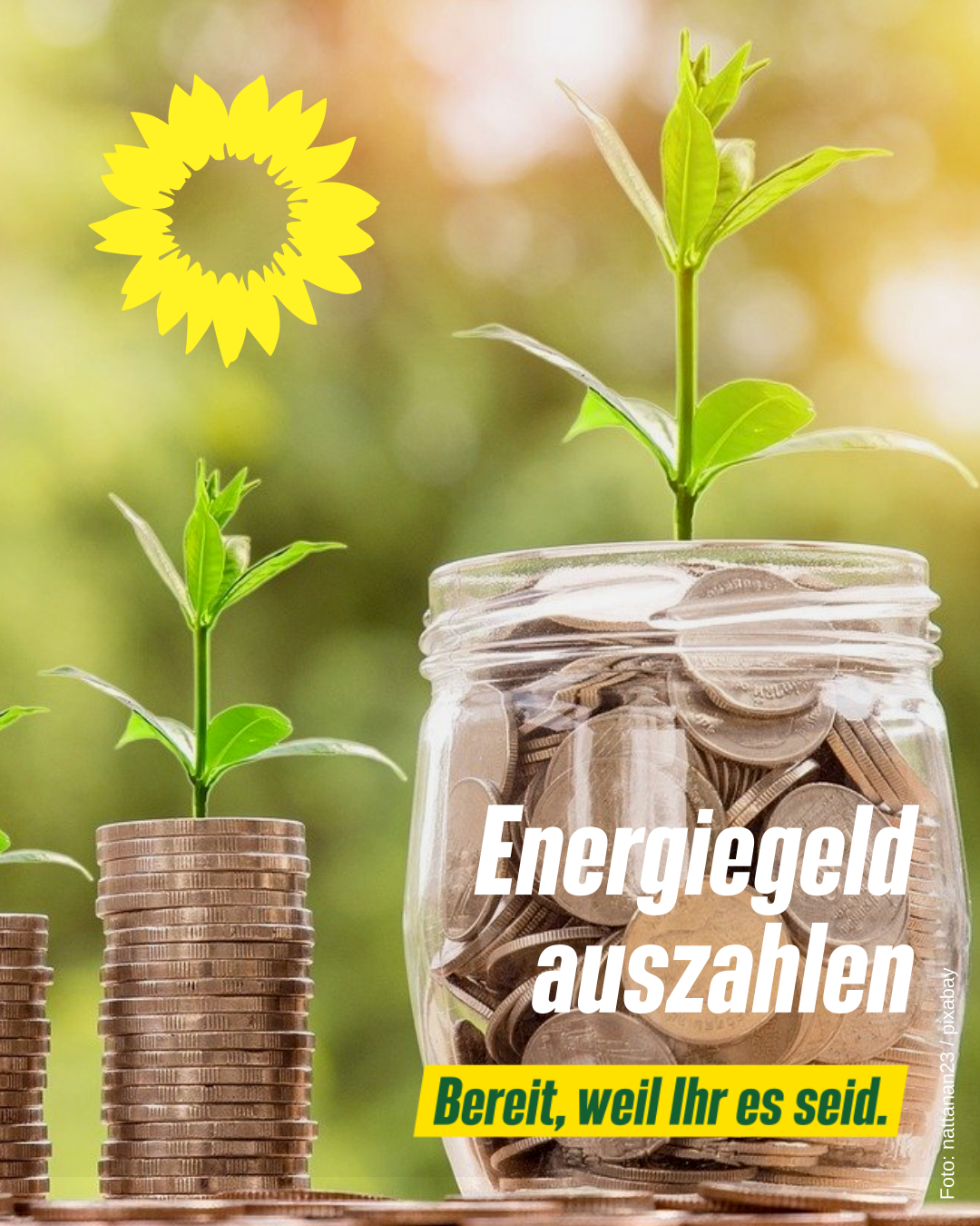 Energiegeld | GRÜN WÄHLEN!