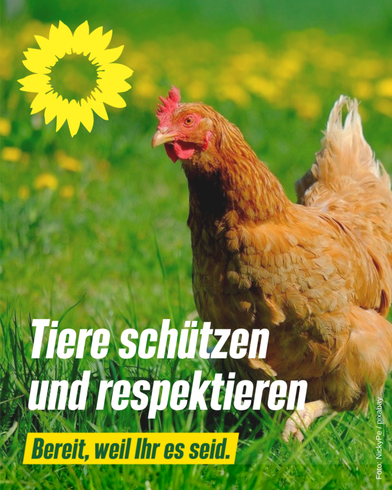Wir ermöglichen Tieren ein besseres Leben