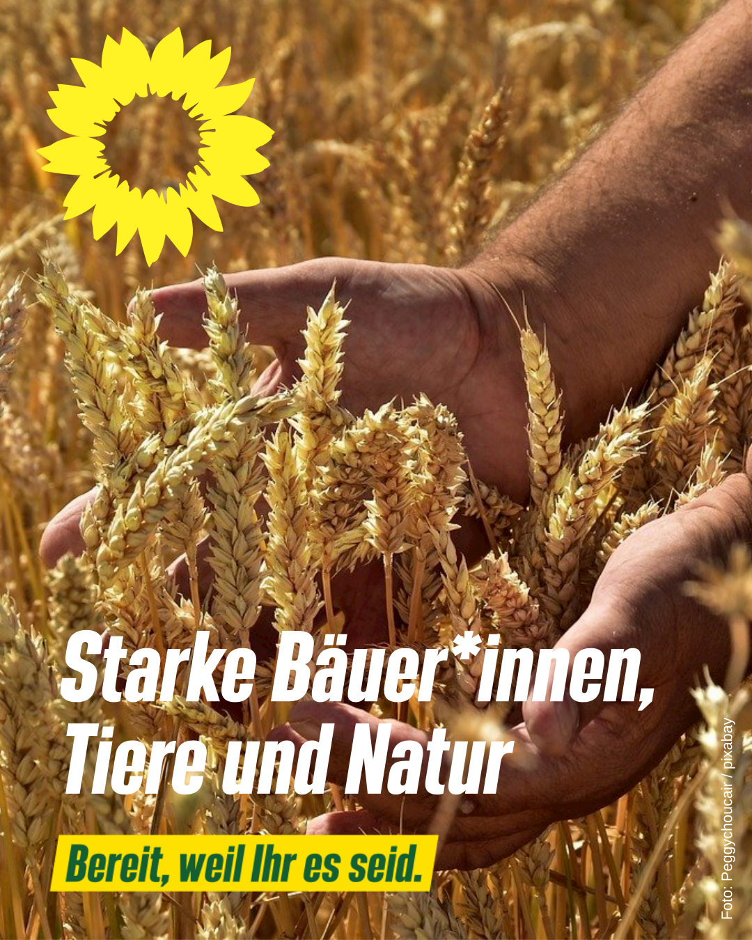 Starke Bäuer*innen, Tiere und Natur | GRÜN WÄHLEN!
