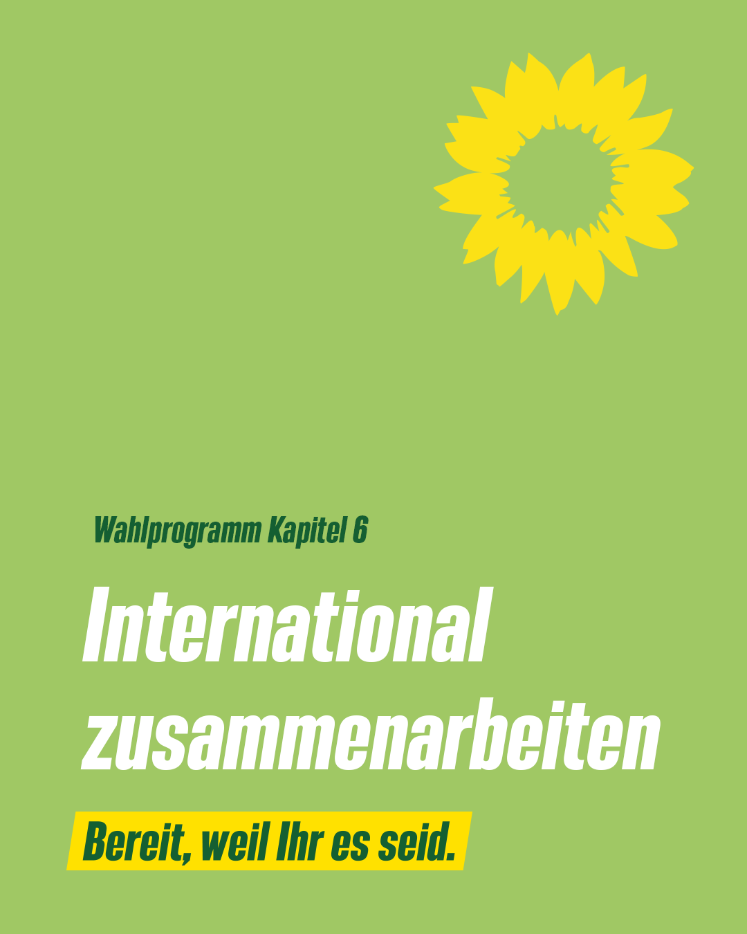 International zusammenarbeiten | GRÜN WÄHLEN!